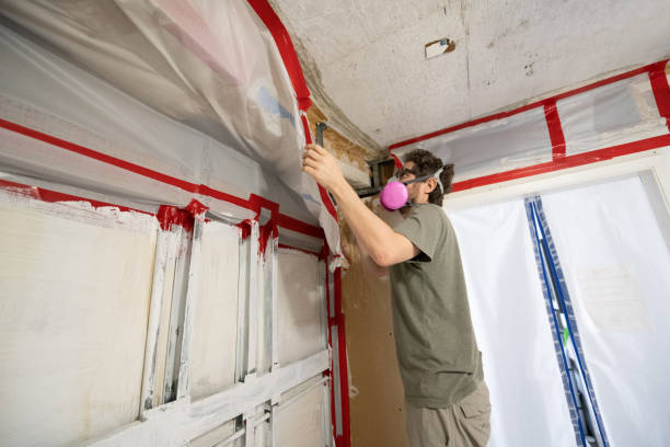 Best Mold Prevention Services  in South Valley, NM