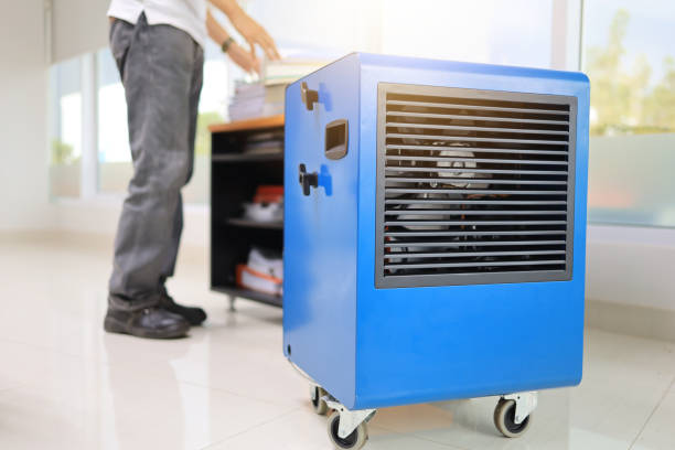 Best Mold Odor Removal Services  in South Valley, NM