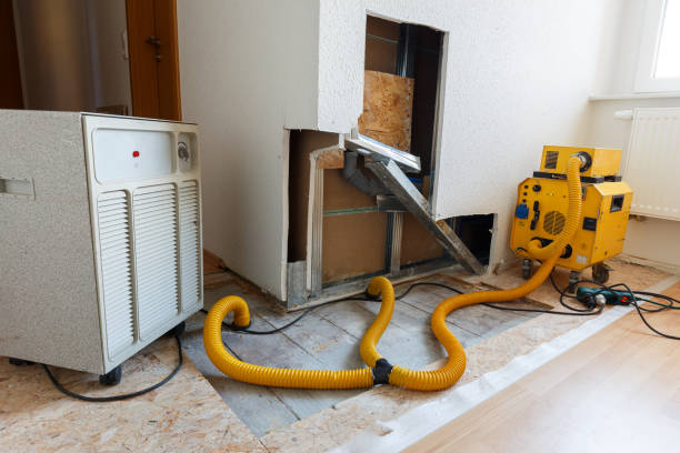 Best Mold Documentation for Insurance Claims  in South Valley, NM